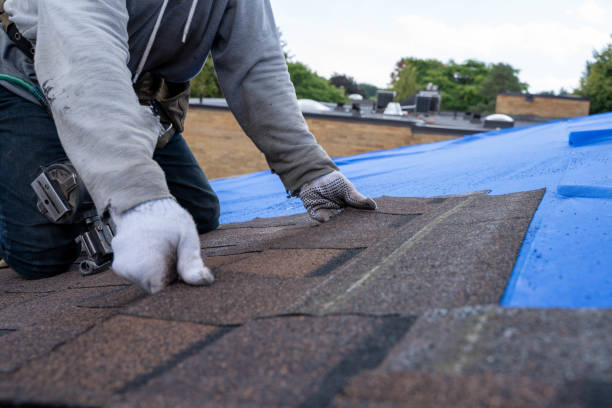 Roof Gutter Cleaning in De Motte, IN