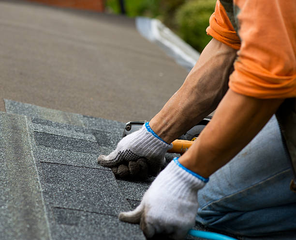 Best Roof Maintenance Services  in De Motte, IN