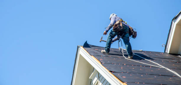 Best Roof Waterproofing Services  in De Motte, IN